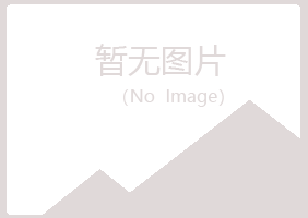 宝山区问雁电讯有限公司